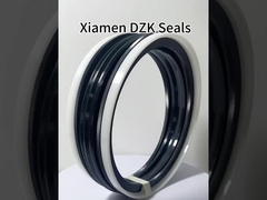 TPM sigillo combinato a cinque pezzi